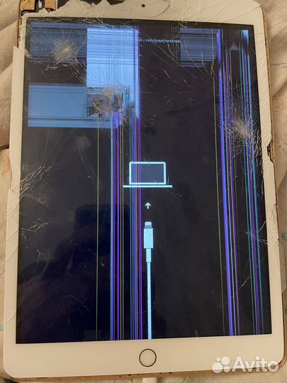 iPad 7