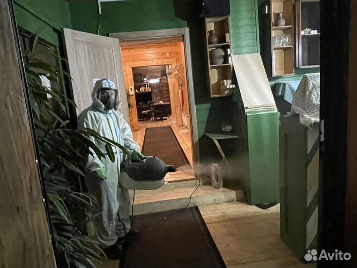 Уничтожение тараканов травля тараканов Дезинфекция