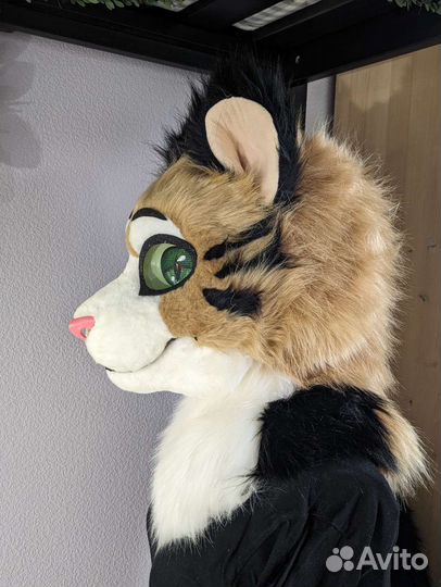 Фурсьют кота, тигра