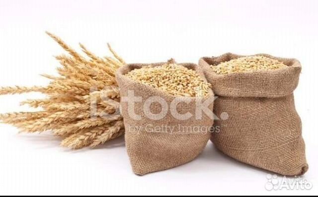 Пшеница, ячмень, кукуруза, мясокостная мука