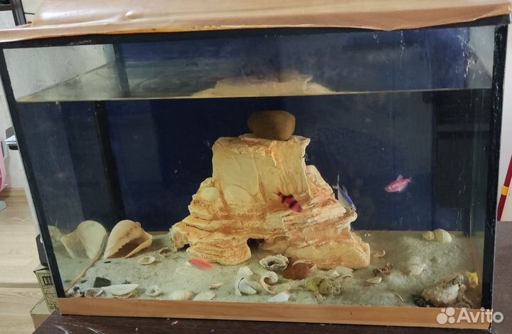 Аквариум с рыбками