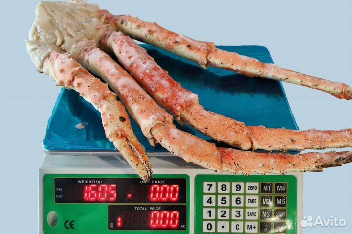 Краб камчатский