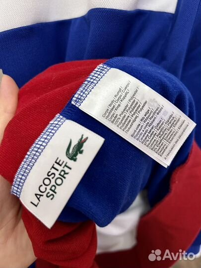 Свитшот мужской lacoste