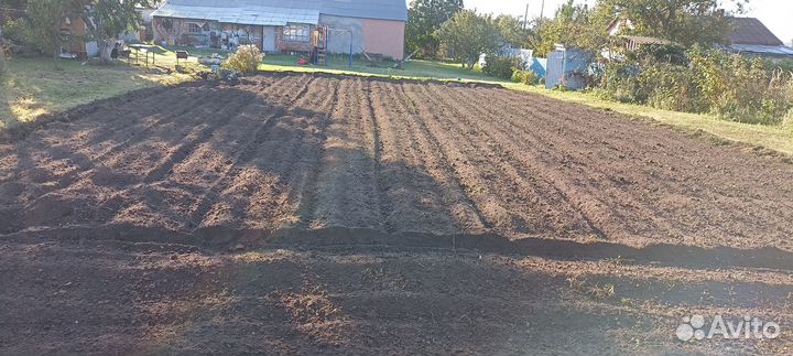 Культиватор Техмаш КФ, 1993