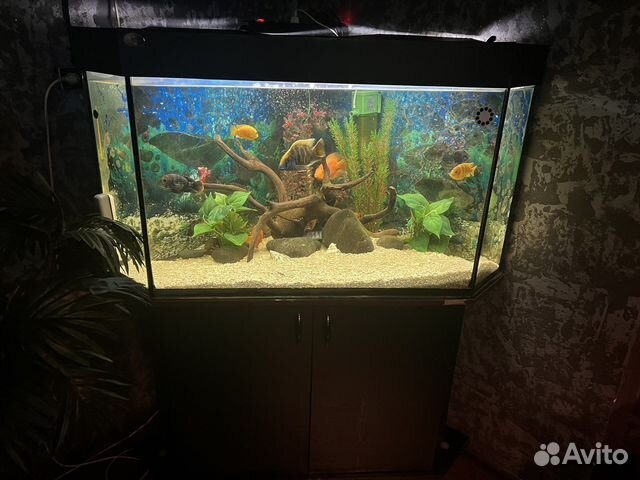 Аквариум