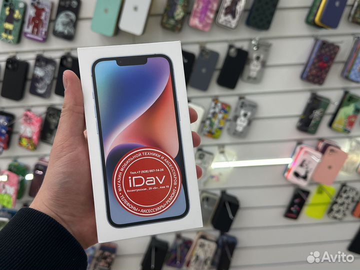 iPhone 14 Plus 256 Gb Blue