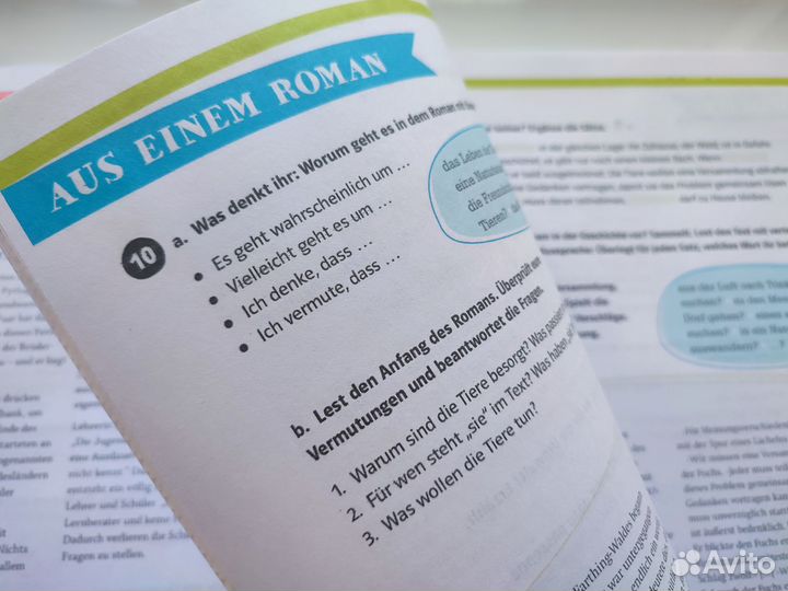 Die Deutschprofis B1 (Учебник + Тетрадь)