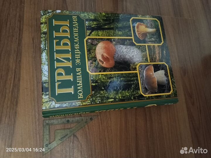 Книга Грибы большая энциклопедия