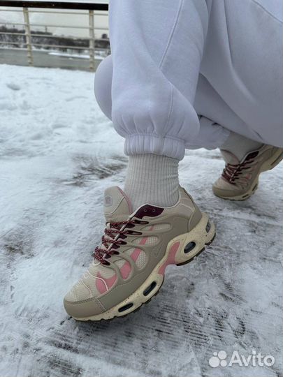 Кроссовки nike air max tn