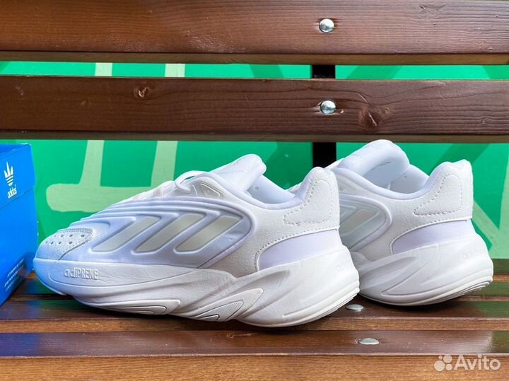 Кроссовки Adidas Ozelia