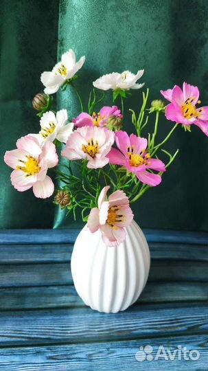 Космеи букет. Цветы из холодного фарфора