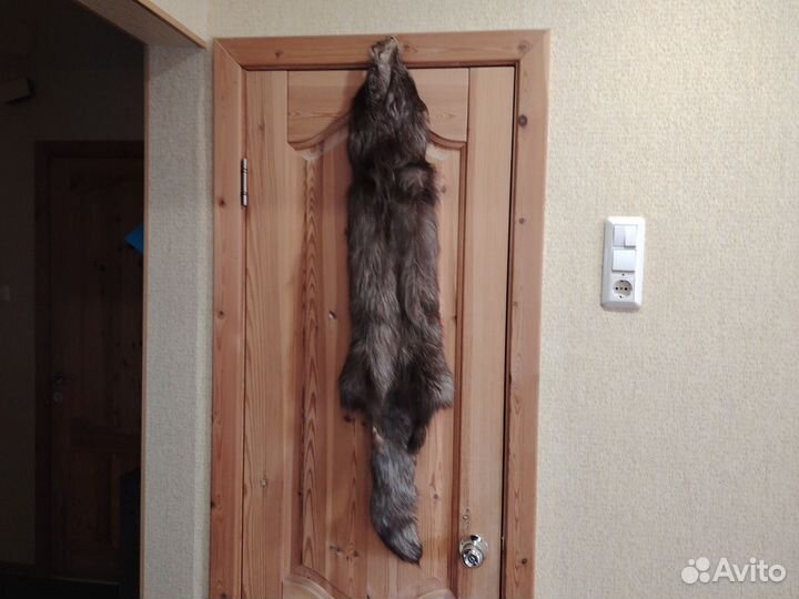 Чулок песца