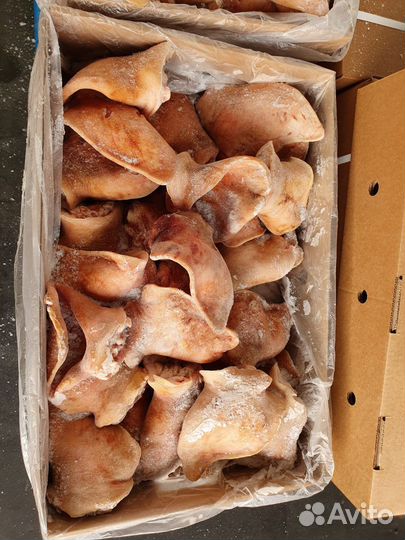 Уши свиные замороженные