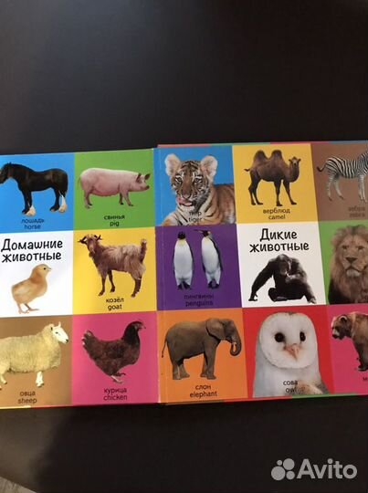 Книга для самых маленьких