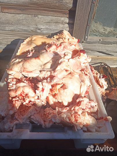 Головы говяжьи