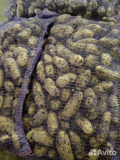 Картофель и овощи местные