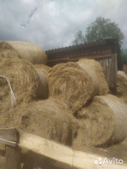 Продам сено в тюках
