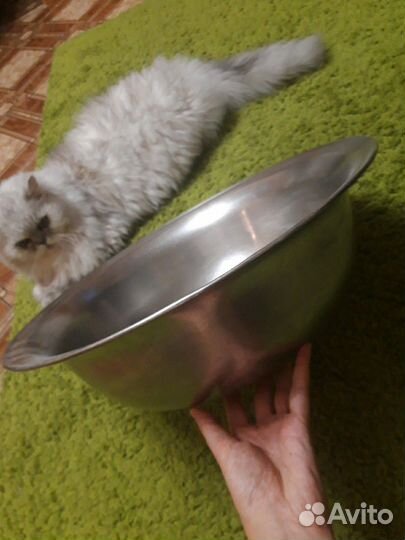 Чаша алюминиевая