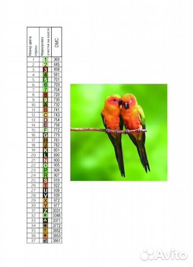 Алмазная мозаика на подрамнике 40*40 Попугай Птицы