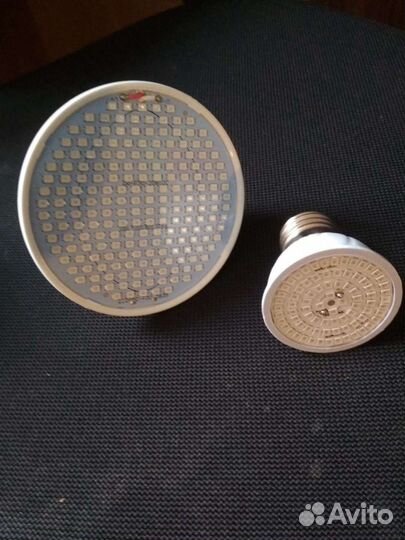 Фитолампа для растений