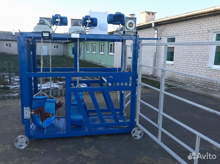 Станок для обработки копыт и фиксации коров и быко