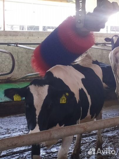 Турецкие чесалка для крс (2 штуки в наличии)