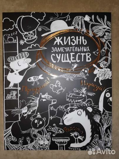 Книга-альбом, развитие и вдохновение