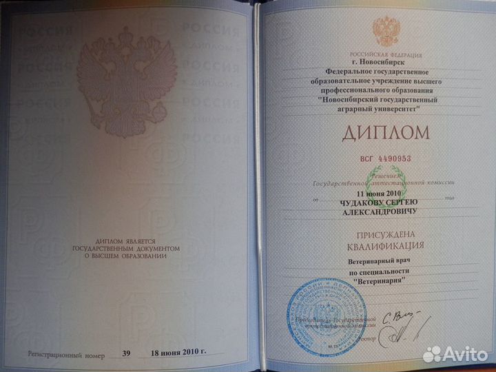 Вызов ветеринарного врача на дом