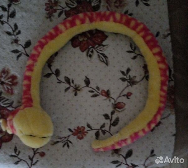 Королевская змея