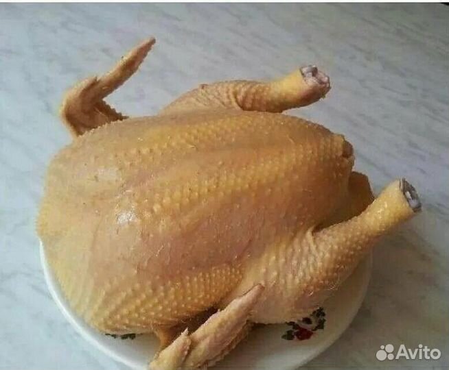 Домашняя курица халяль