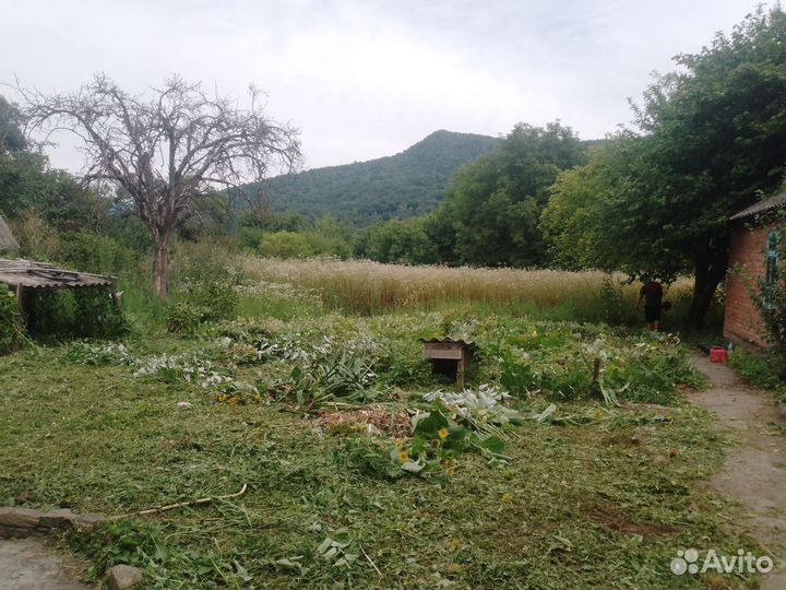 Покос травы, спил деревьев