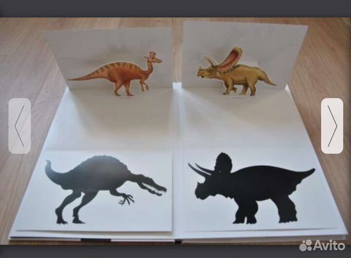 Детские книги Дивнозавры. Пито. Жерве