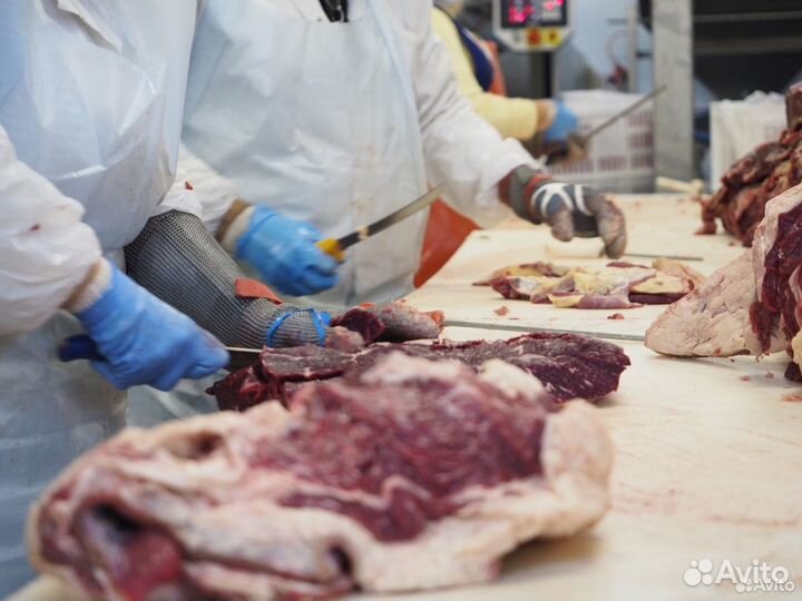 Займ в мясокомбинат, прибыль 30621 в месяц