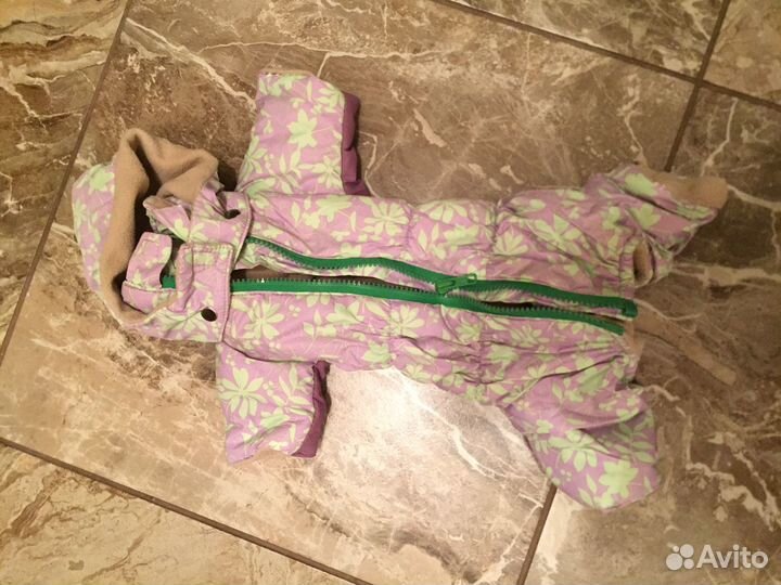 Костюм для собак (на Той-Терьер)