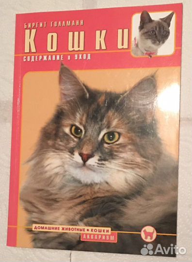 Содержание кошек Мейн Кун Сфинкс Британская