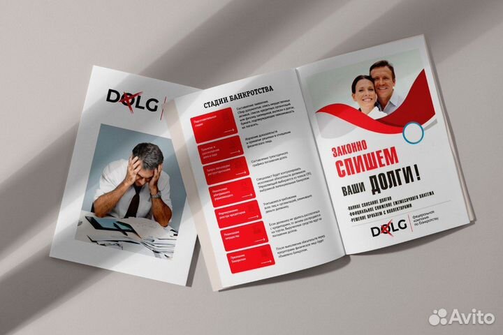 DolgX - бизнес по списанию долгов