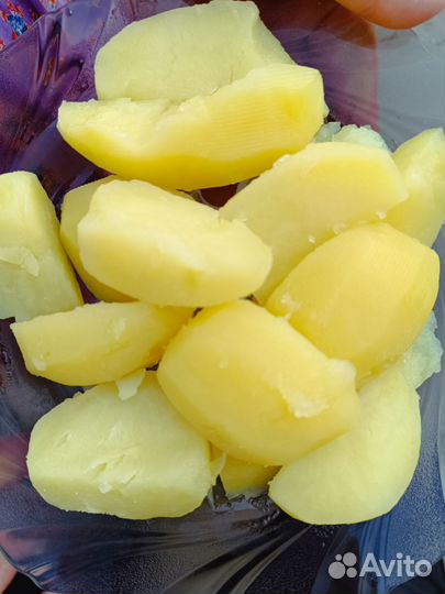 Картошка Оптом и розницу есть и на пасадку