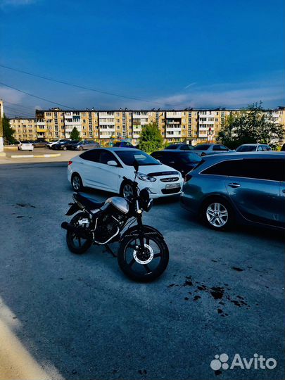Raser RC150-23 tiger