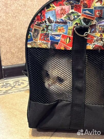 Сумка переноска для кошек и собак