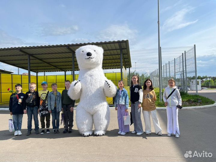 Поздравление от большого белого медведя