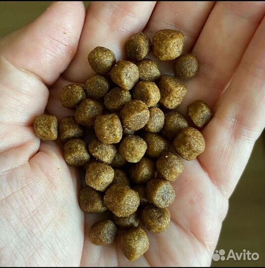 Grandorf/Грандорф сухой корм 2/10 кг