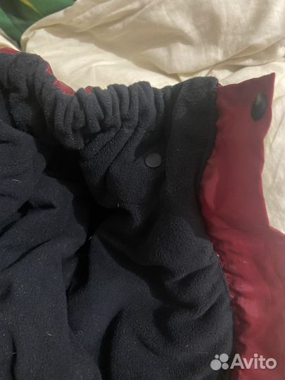 Одежда для собак