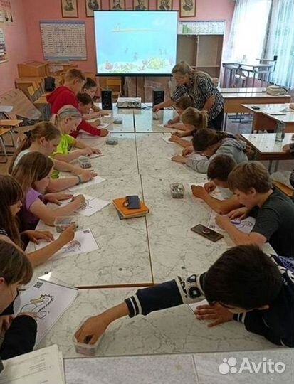 Франшиза для школ пдд оживающие рисунки