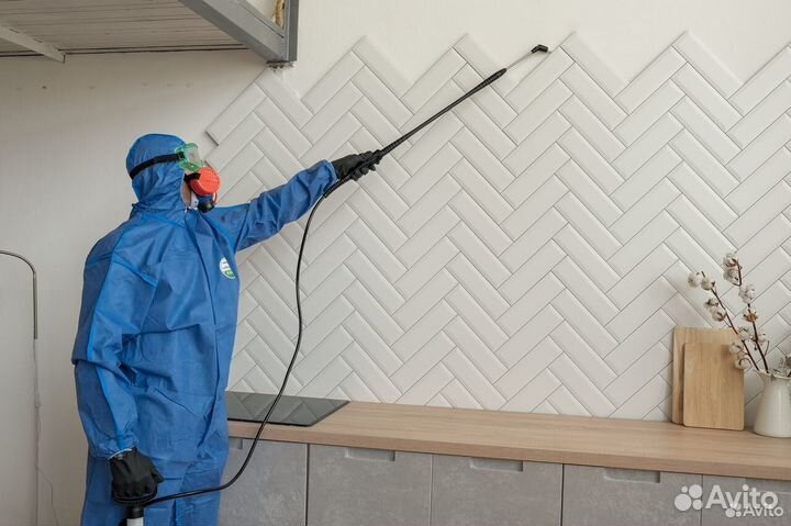 Обработка от насекомых холодным туманом