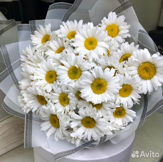 Цветы ромашки