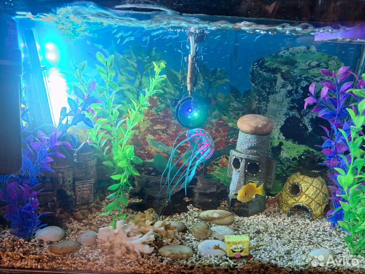 Аквариум с рыбками