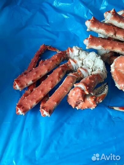 Камчатский королевский краб половинки