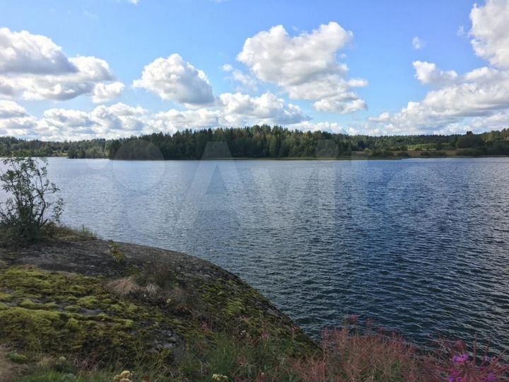 Участок 2,6 га (СНТ, ДНП)