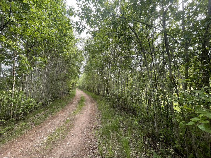 Участок 20 сот. (СНТ, ДНП)