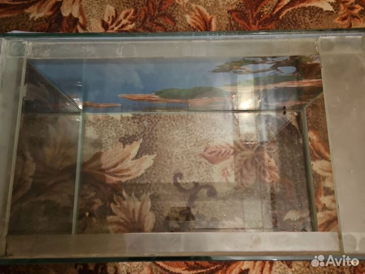 Аквариум